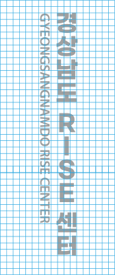 경남 라이즈 로고 세로 그리드